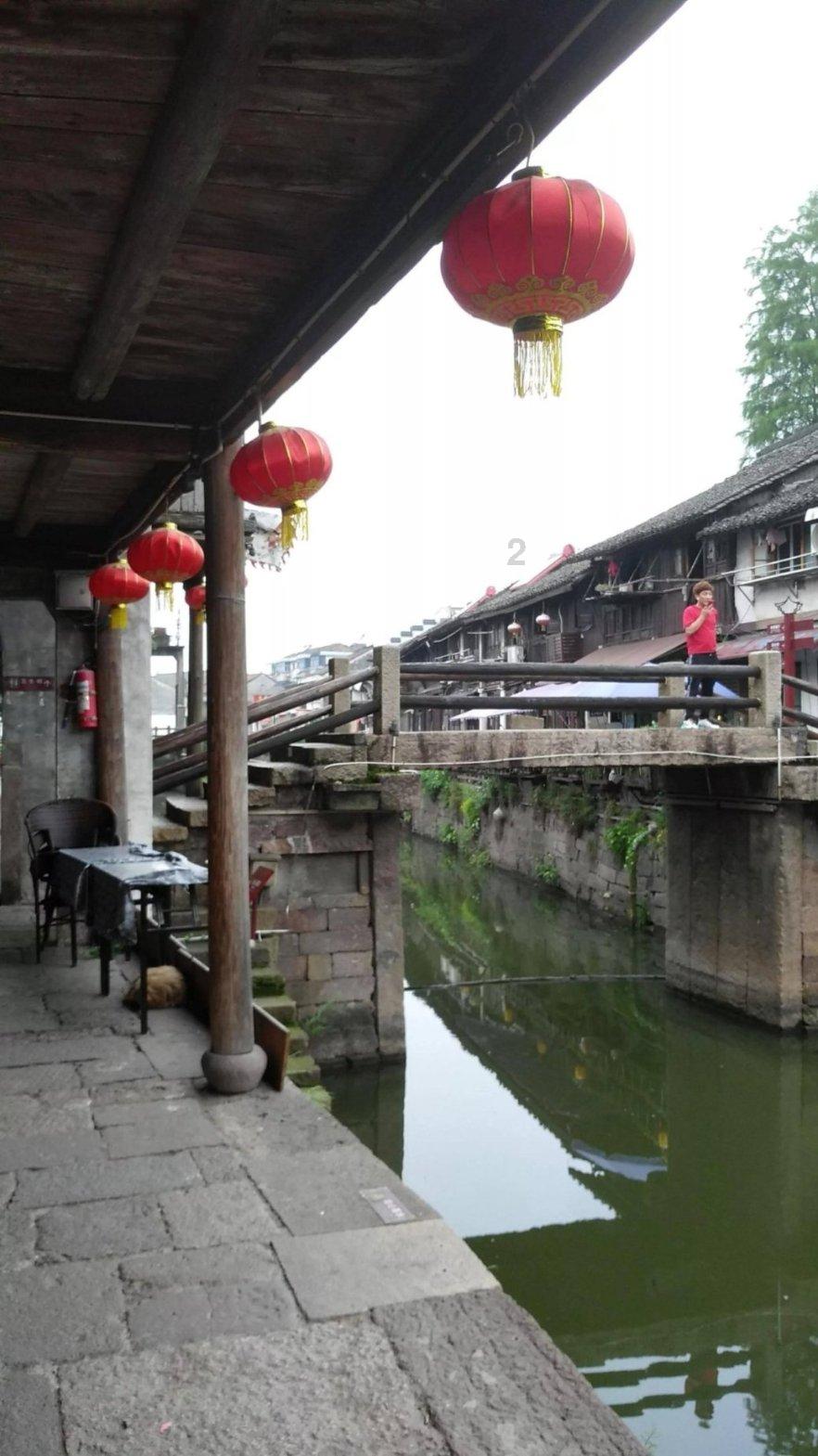 可爱兔子营救